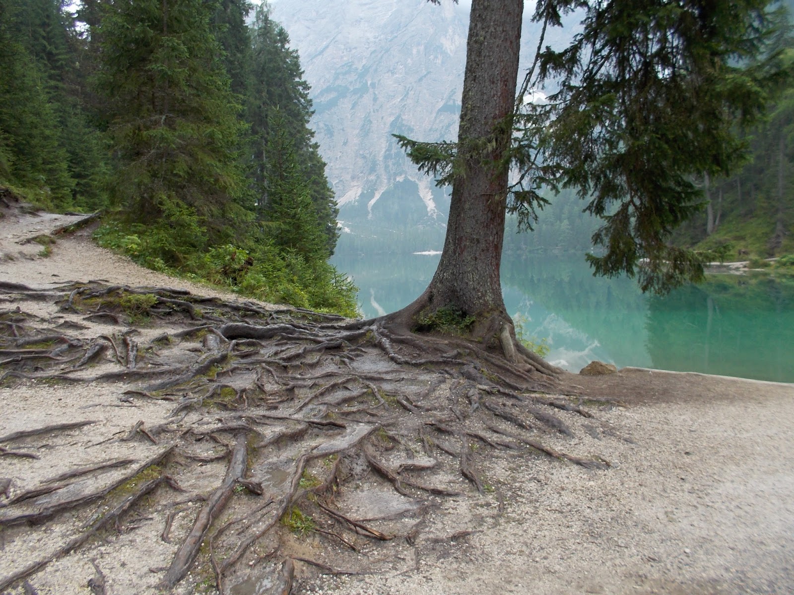 Trekking lago di Braies