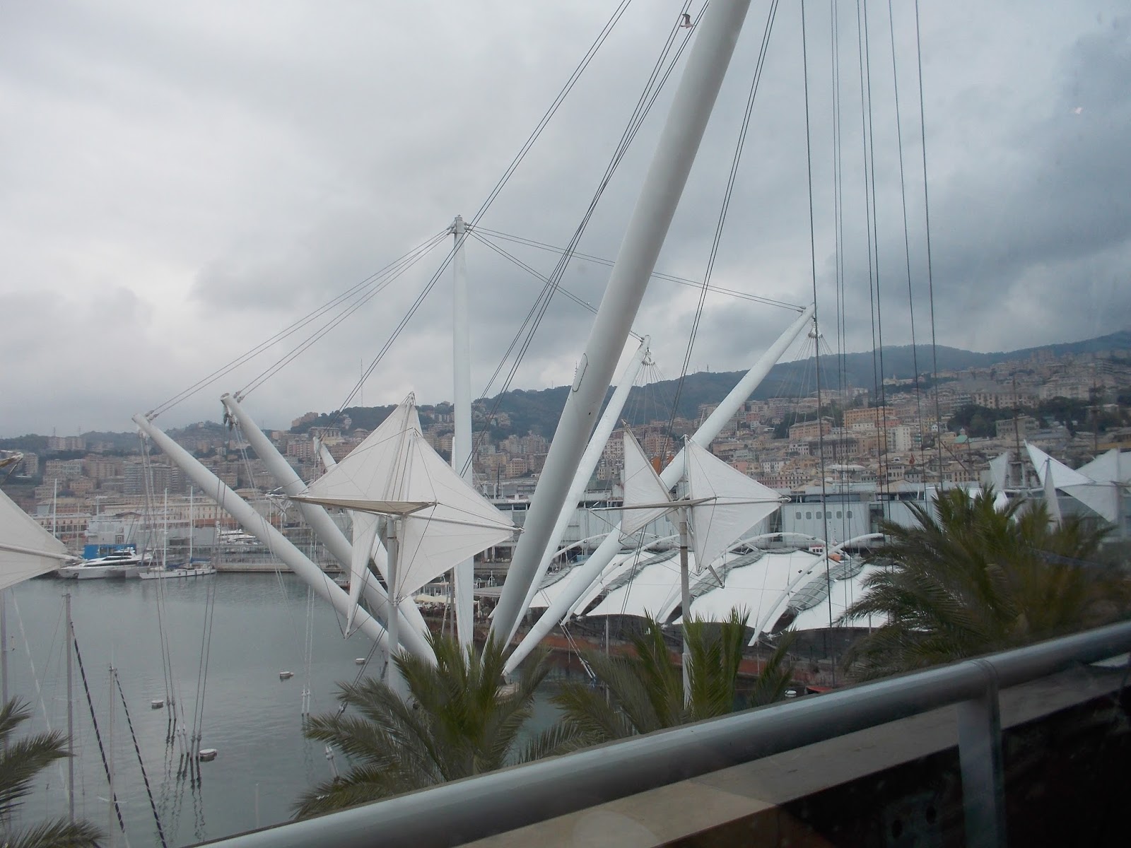 acquario di Genova pulizia vasche