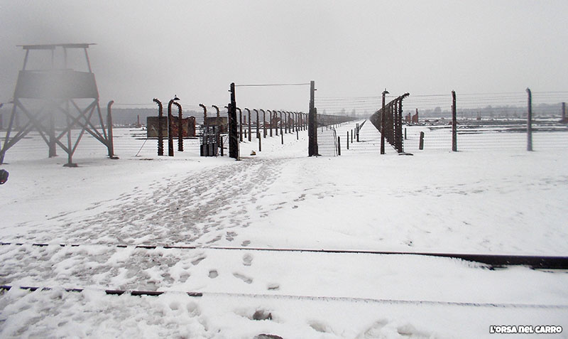 birkenau-macerie