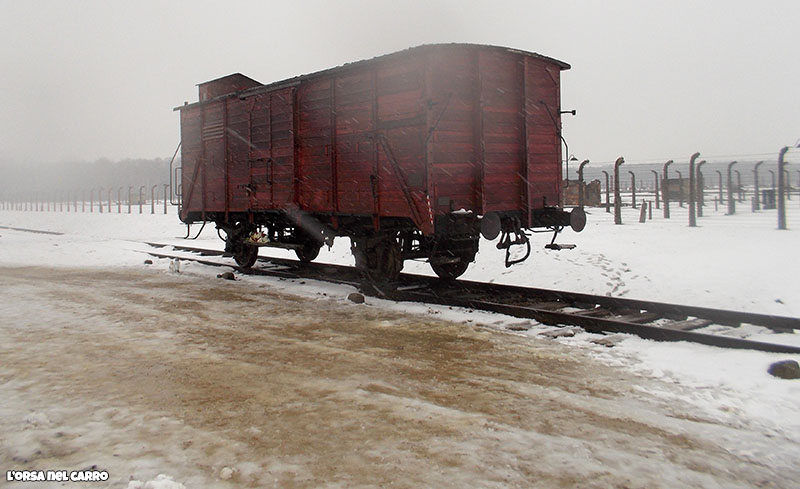 birkenau-vagoni-della-morte