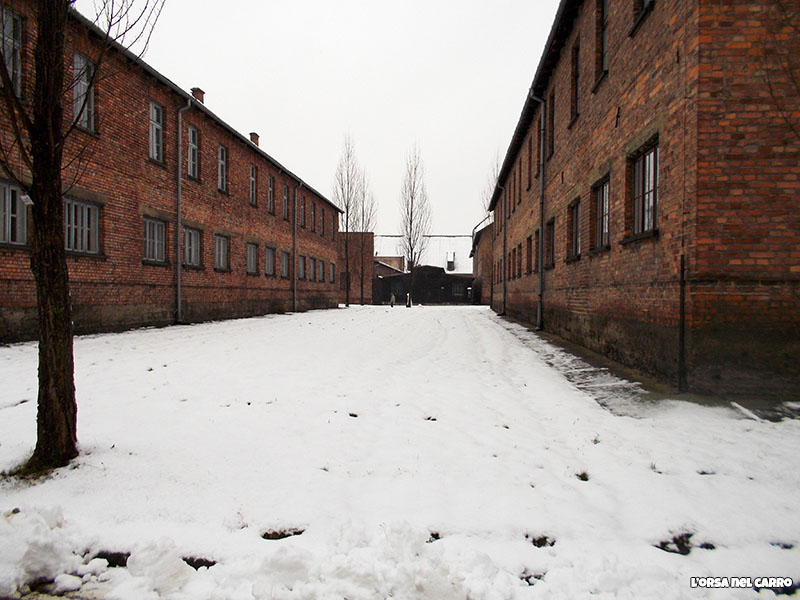 auschwitz-blocchi