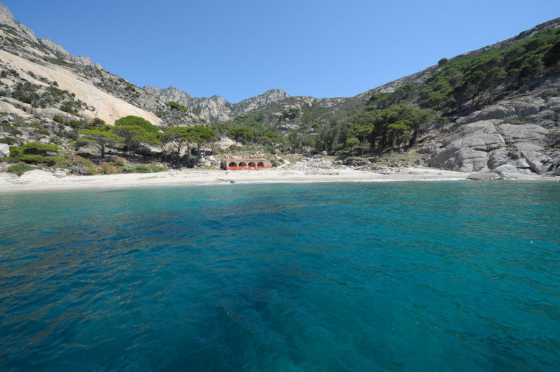 Visitare l'isola d'Elba