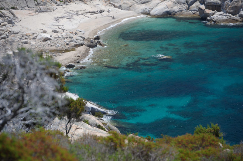 Visitare l'isola d'Elba