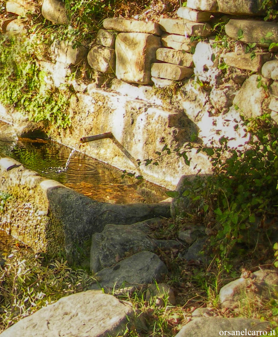 Cosa fare nel Cilento