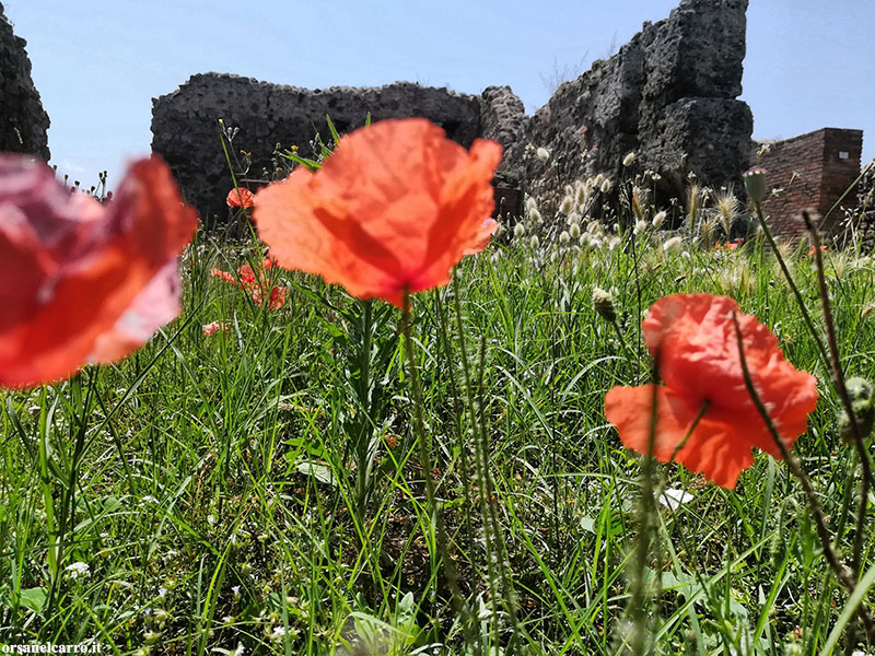 Scavi di Pompei