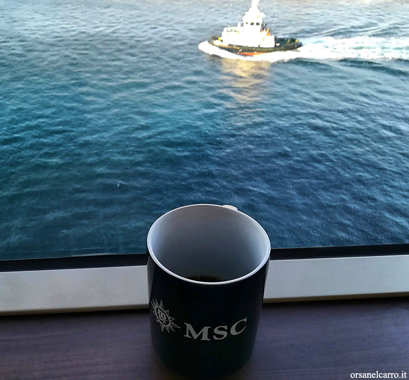 Crociera Msc Seaview