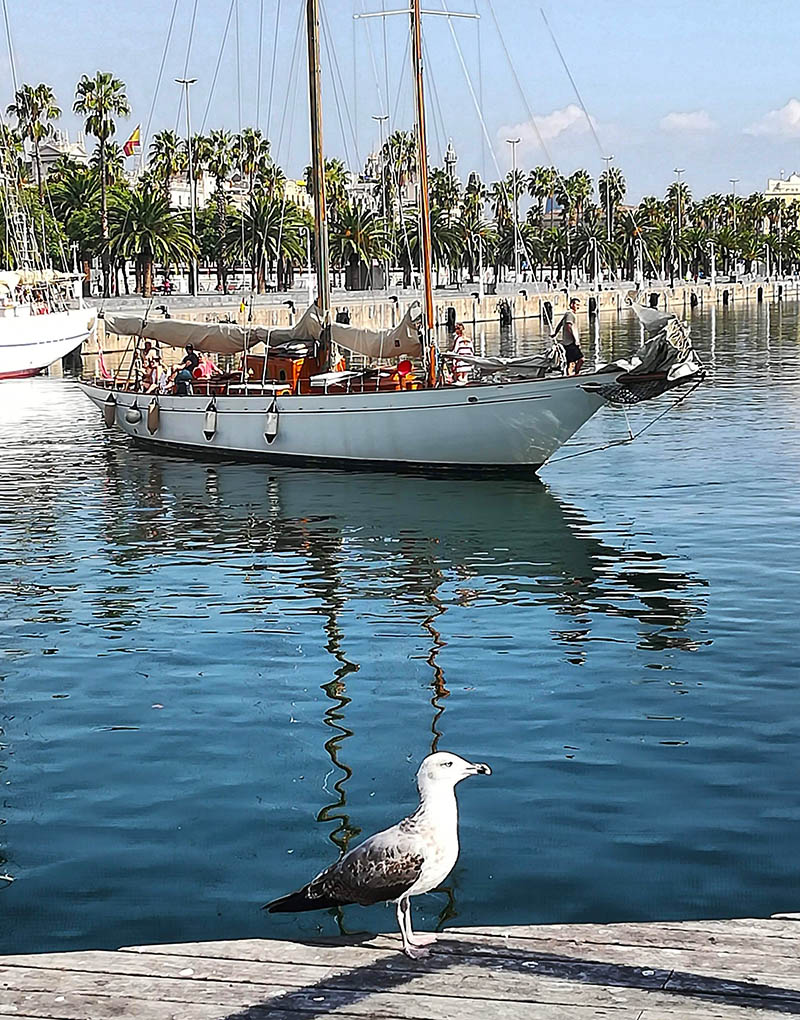 Cosa vedere a Barcellona in poche ore