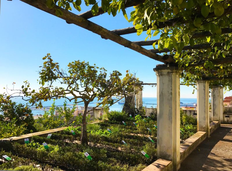 Cosa vedere a Salerno