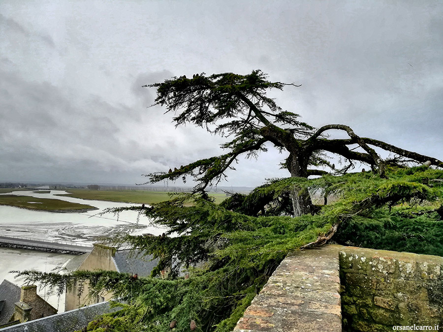 visitare Mont Saint-Michel