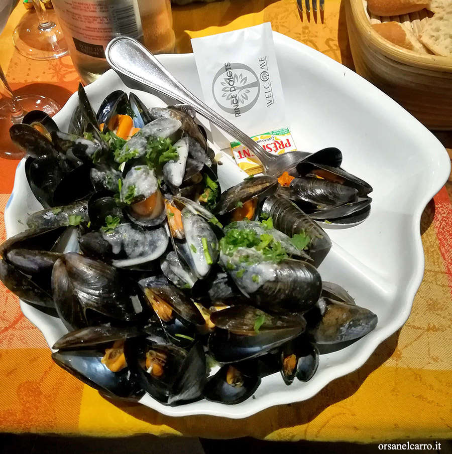  Mont Saint-Michel mussel