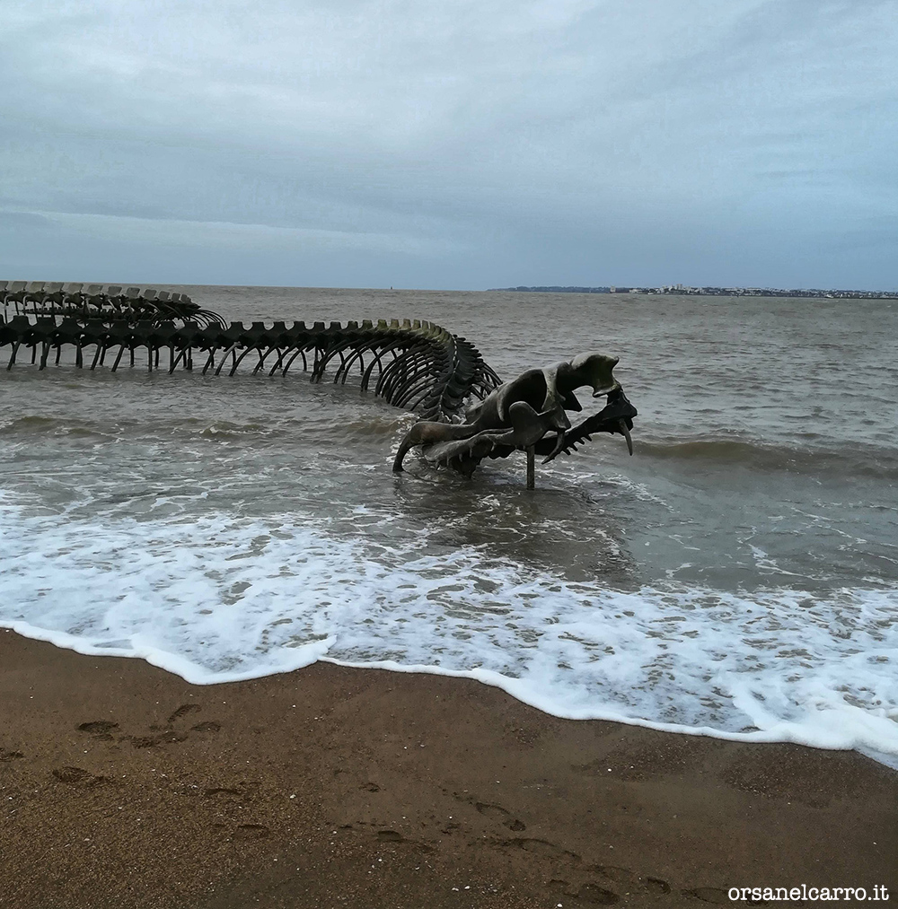 Serpent ocean Saint Nazaire