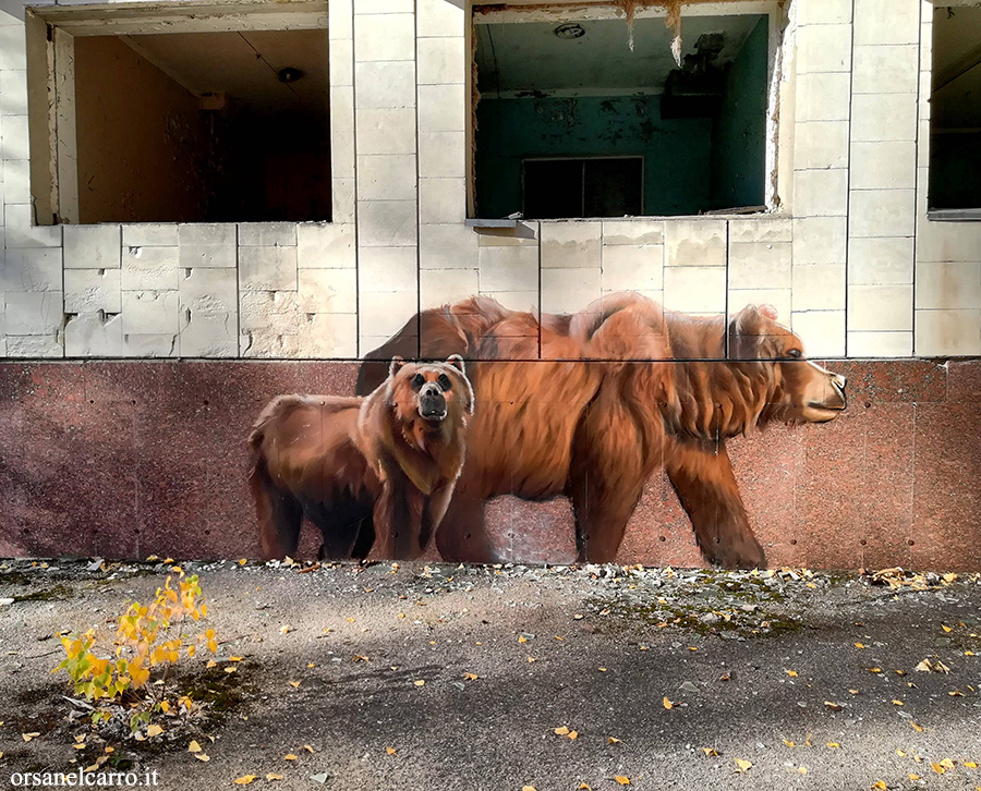 Chernobyl bear