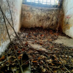 Sezione femminile del carcere abbandonato
