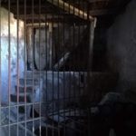 Palmento cantina abbandonata
