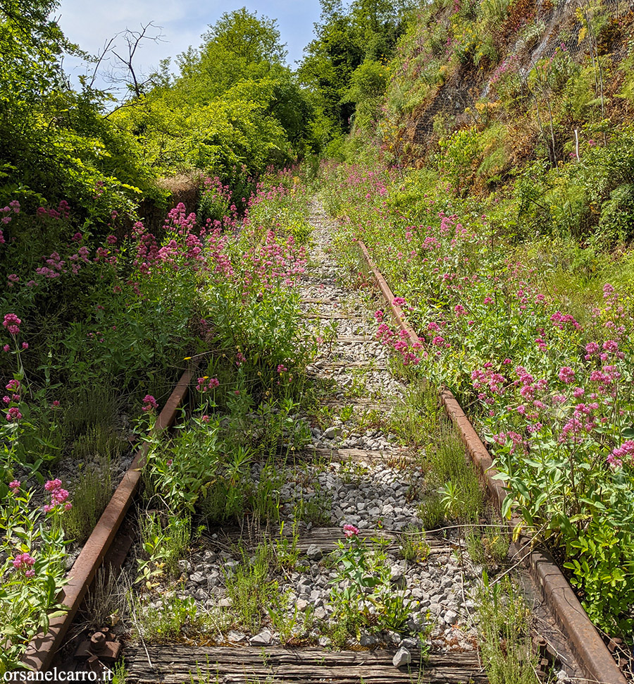 Trekking lungo la ferrovia abbandonata Sicignano Lagonegro