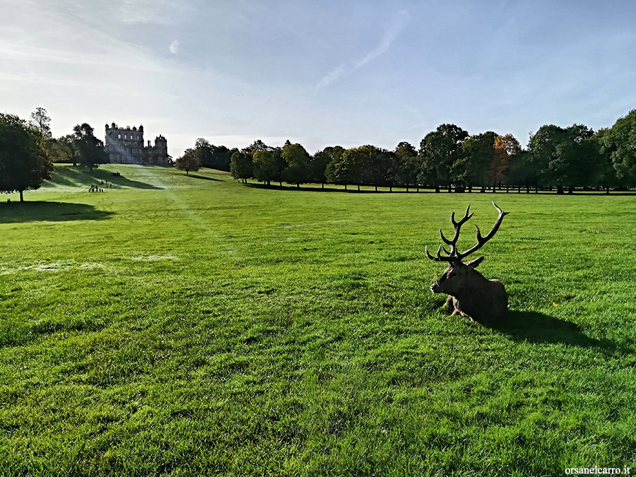 Wollaton Hall Deer Park