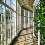 Wollaton Hall giardino botanico