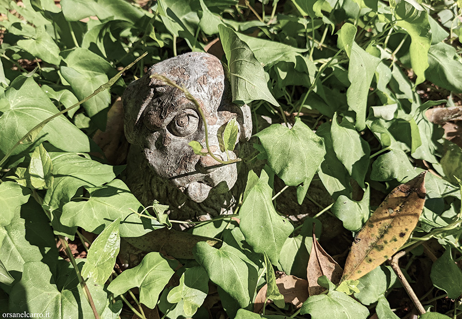 Cimitero degli animali abbandonato